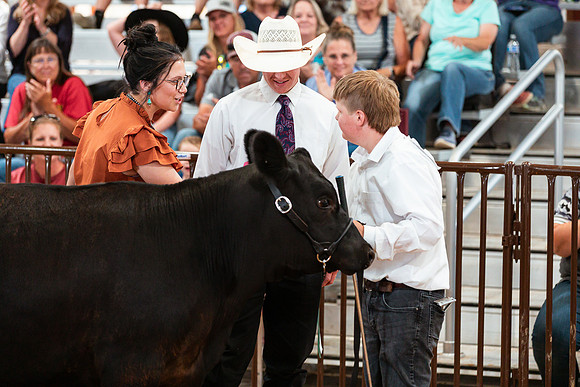 BEEF SHOWMANSHIP63