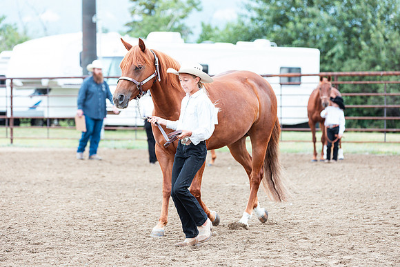 HORSE112