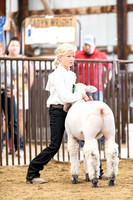 Day 5 - Showmanship & Rabbit Shows