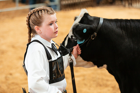 BEEF SHOWMANSHIP34