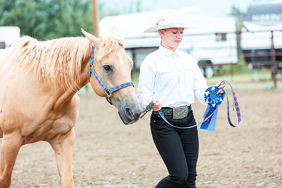 HORSE86