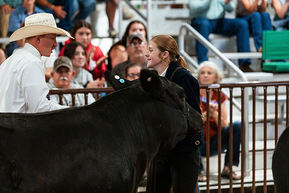 BEEF SHOWMANSHIP89
