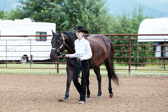 HORSE42